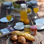 Holiday park Mobile Homes Camp Pineta - Adriatic Kampovi