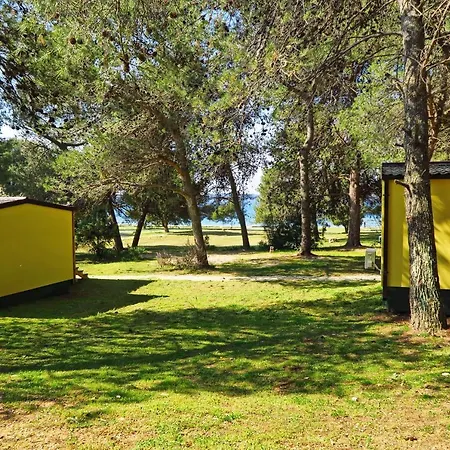 Kompleks wypoczynkowy Mobile Homes Camp Pineta - Adriatic Kampovi Fažana