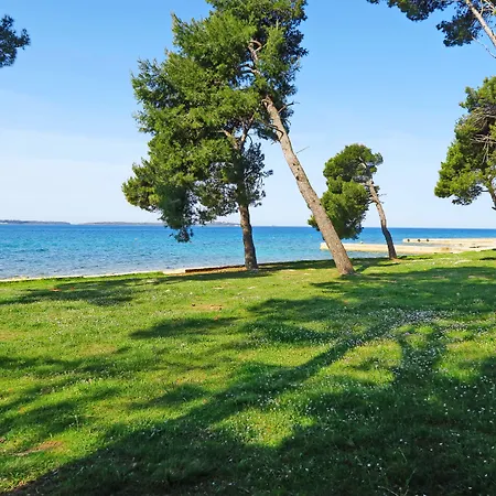 Mobile Homes Camp Pineta - Adriatic Kampovi Fažana