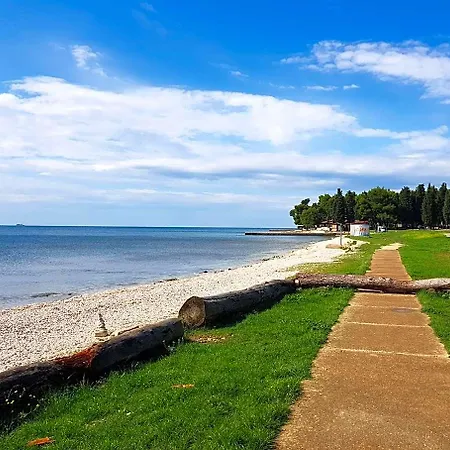 Mobile Homes Camp Pineta - Adriatic Kampovi Πάρκο διακοπών