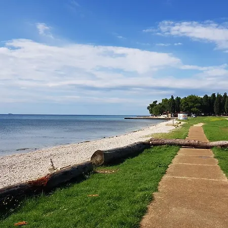 Mobile Homes Camp Pineta - Adriatic Kampovi Prázdninový areál 3*